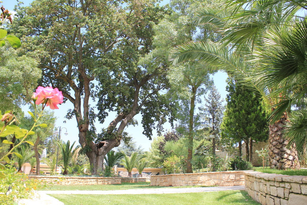 Il Portico Luxury B&B Cassano delle Murge Extérieur photo